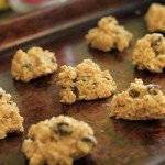 MaustsOnToast-2011-05-05_11